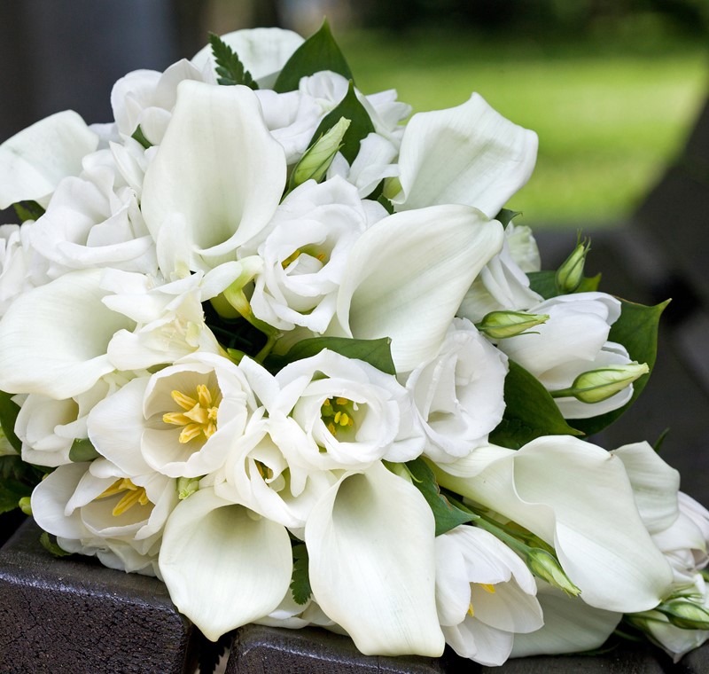 amoria-vit-blomma-begravning